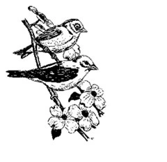 Graphic of two birds perched on a dogwood branch.