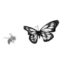 A graphic of a honeybee and butterfly.